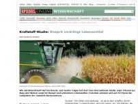 Bild zum Artikel: Kraftstoff-Studie: Biosprit verdrängt Lebensmittel