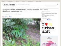 Bild zum Artikel: »Einige Autonome Blumenkinder« sähen massenhaft Hanfsamen in Göttingen aus