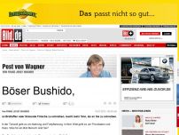 Bild zum Artikel: Post von Wagner - Böser Bushido,