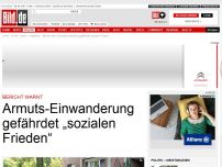 Bild zum Artikel: Bericht warnt - Einwanderung gefährdet „sozialen Frieden“