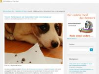 Bild zum Artikel: Vorsicht: “Hundemalaria” und “Zeckenfieber” treten immer häufiger auf