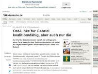 Bild zum Artikel: SPD-Wahlkampf: Ost-Linke für Gabriel koalitionsfähig, aber auch nur die