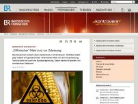 Bild zum Artikel: Gefährliche Gentechnik?: „Giftmischer“-Mais kurz vor Zulassung