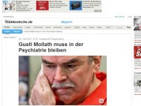 Bild zum Artikel: Fall Mollath: Landgericht Regensburg lehnt Wiederaufnahme ab