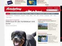 Bild zum Artikel: Gericht in Garmisch-Partenkirchen : 2000 Euro für die Hundesteuer sind zuviel
