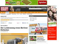 Bild zum Artikel: Herzzerreißend - Der Leidensweg eines Berliner Elefanten