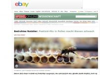 Bild zum Artikel: Bedrohtes Nutztier: Pestizid-Mix in Pollen macht Bienen schwach