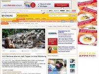 Bild zum Artikel: Gruseliges Verhalten im Zoo von Emmen - 112 Paviane starren seit Tagen in eine Richtung