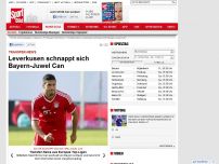 Bild zum Artikel: Transfer-News  -  

Leverkusen schnappt sich Bayern-Juwel Can