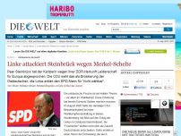 Bild zum Artikel: Ostdeutsche Herkunft: Linke attackiert Steinbrück wegen Merkel-Schelte