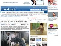 Bild zum Artikel: 13 Jahre an der Kette