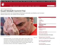 Bild zum Artikel: Oberlandesgericht Nürnberg: Gustl Mollath kommt frei