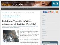 Bild zum Artikel: Sadistische Tierquäler in Willich unterwegs – wir benötigen Eure Hilfe!