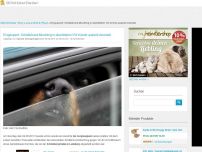 Bild zum Artikel: Eingesperrt: Schäferhund-Mischling in überhitztem VW-Kombi qualvoll verendet