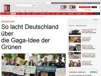 Bild zum Artikel: Grünen-Debatte - Gaga-Idee Veggie-Day?