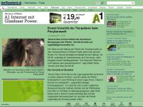 Bild zum Artikel: Wiener Prater - Erneut Vorwürfe der Tierquälerei beim Ponykarussell