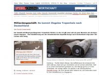 Bild zum Artikel: Milliardengeschäft: So kommt illegales Tropenholz nach Deutschland