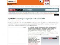 Bild zum Artikel: Spähaffäre: Die Regierung kapituliert vor der NSA