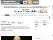 Bild zum Artikel: Schäuble: Gesamtrisiko für Euro-Rettung beträgt 310 Milliarden Euro
