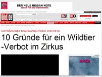 Bild zum Artikel: Sehen Sie hier den PETA-Trailer! - 10 Gründe für ein Wildtier-Verbot im Zirkus