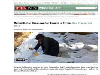 Bild zum Artikel: Mutmaßlicher Chemiewaffen-Einsatz in Syrien: Das Grauen von Irbin