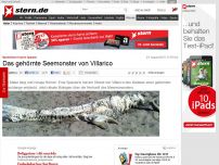 Bild zum Artikel: Mysteriöser Fund in Spanien: Das gehörnte Seemonster von Villarico