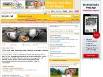 Bild zum Artikel: Düsseldorf-Eller - CDU will den Tauben das Genick brechen lassen