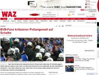 Bild zum Artikel: BVB-Fans kritisieren Polizeigewalt auf Schalke