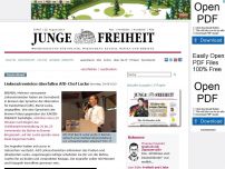 Bild zum Artikel: Linksextremisten überfallen AfD-Chef Lucke