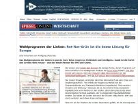 Bild zum Artikel: Wahlprogramm der Linken: Rot-Rot-Grün ist die beste Lösung für Europa