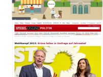 Bild zum Artikel: Wahlkampf 2013: Grüne fallen in Umfrage auf Jahrestief