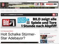 Bild zum Artikel: Tottenham-Profi - Holt Schalke Stürmer-Star Adebayor?