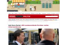 Bild zum Artikel: Anti-Euro-Partei: AfD-Landesverbände fürchten rechte Unterwanderung