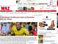Bild zum Artikel: BVB-Spieler Großkreutz sieht verfälschtes Bild der Ultras