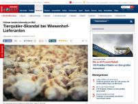 Bild zum Artikel: Geflügelzüchter erneut am Pranger - Tierquäler-Skandal bei Wiesenhof-Lieferanten: Hühner landen lebendig im Müll