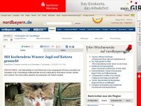 Bild zum Artikel: Mit kochendem Wasser Jagd auf Katzen gemacht