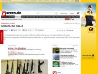 Bild zum Artikel: Waffenscheine für Blinde: Schuss ins Blaue