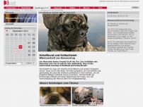 Bild zum Artikel: Schoßhund und Schlachtvieh - Wissenschaft am Donnerstag