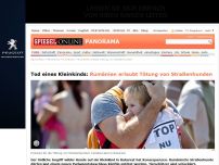 Bild zum Artikel: Tod eines Kleinkinds: Rumänien erlaubt Tötung von Straßenhunden