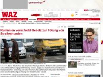 Bild zum Artikel: Rumänien verschiebt Gesetz zur Tötung von Straßenhunden