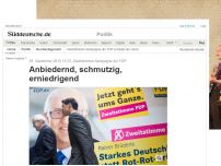 Bild zum Artikel: Zweitstimmen-Kampagne der FDP: Anbiedernd, schmutzig, erniedrigend