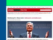 Bild zum Artikel: Wahlkampf in Österreich: Halbnackt und belämmert