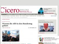 Bild zum Artikel: Warum die AfD in den Bundestag gehört