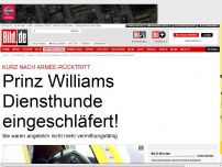 Bild zum Artikel: Nach Armee-Rücktritt - Williams Diensthunde eingeschläfert