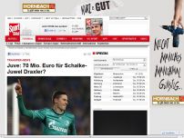 Bild zum Artikel: Transfer-News  -  

Juve: 70 Mio. Euro für Schalke-Juwel Draxler?