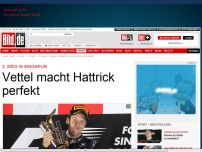 Bild zum Artikel: 3. Sieg in Singapur - Vettel macht Hattrick perfekt