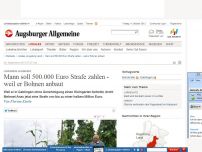 Bild zum Artikel: Landkreis Augsburg: Mann soll 500.000 Euro Strafe zahlen - weil er Bohnen anbaut