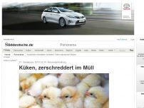 Bild zum Artikel: Massentierhaltung: Küken, zerschreddert im Müll