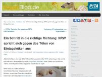 Bild zum Artikel: Ein Schritt in die richtige Richtung: NRW spricht sich gegen das Töten von Eintagsküken aus