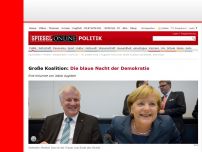 Bild zum Artikel: Große Koalition: Die blaue Nacht der Demokratie